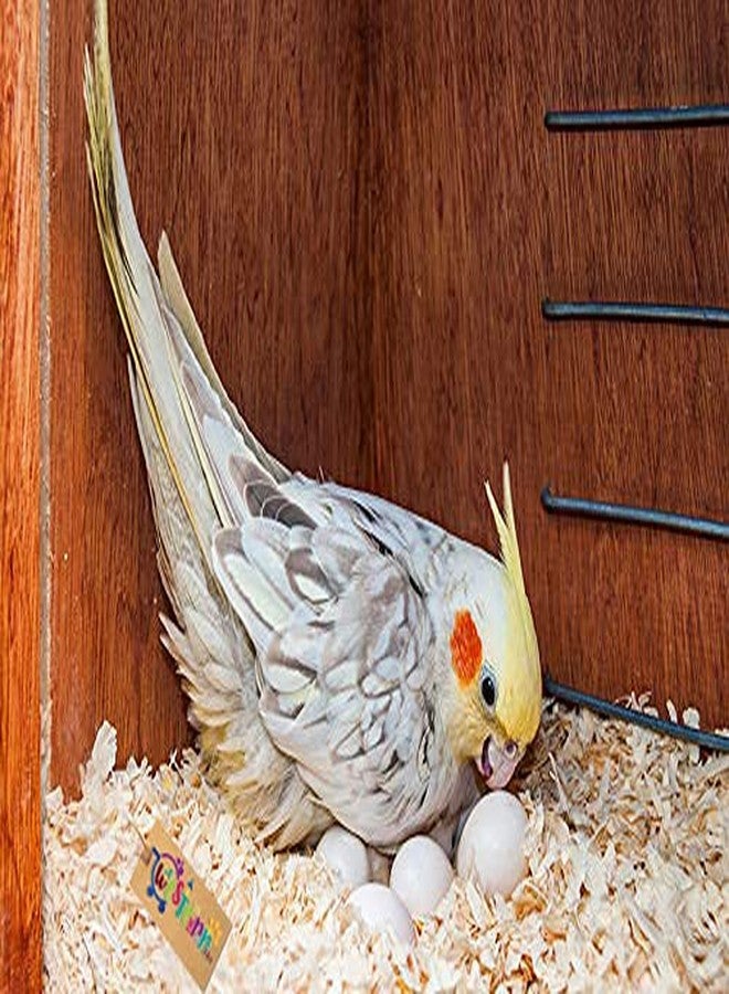 Western Era Natural Wood Shaving Nesting Material for Birds (1Kg) - Image 1